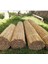 Polynaturel Bambu Kamış Hasır 2 Metre x 6 Metre 1