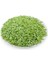 Pastel Yeşil Boru Boncuk 90 gr 1