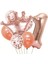Rose Gold Taçlı 1 Rakam Balon Set 1