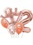 Rose Gold Taçlı 2 Rakam Balon Set 1