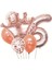 Rose Gold Taçlı 6 Rakam Balon Set 1