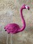 Flamingo Dik Baslı Bahce Biblo Fuşya 1
