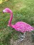 Flamingo Dik Baslı Bahce Biblo Fuşya 6