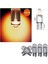 ( 5 x Adet ) 1 Set LED T10 Dipsiz Ampul 12V Dıamond Pıne. Yellow (5W Dipsiz Ampul Elmas Cam Sarı) 1