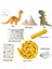 Dino Dinozor Temalı Uyku Seti – %100 Pamuk Müslin, Dino & Rex Yastıklı, Bebek ve Çocuk Odası Için 7