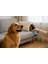 Haşere Kovucu Tüy Bakım Spreyi 150ML (Bit, Pire, Kene, Spreyi Köpek, Kedi, Kafes Kuşları) 2