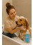 Köpek Şampuanı Lavanta Yağlı 400 ml 1