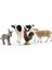 Schleich Fw Başlangıç Seti.gzpxt 1