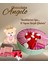 Angelo 500 gr Hediyelik Metal Kusunda Kız Bebek Çikolatası 1
