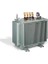 Astor Astor A Plus Plug 0009 800 Kva 31.5/0.4 Kv Trafo A.plus (Plug-In) 1