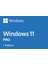 Oem Windows 11 Pro 64BIT Tr FQC-10556 1
