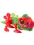 Bfs Silverlit Biopod Zombies Dinazor Robot 88695.GZPMI 2