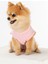 Bcbc Single Köpek T-Shirt Pembe 2