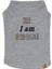 Bcbc Single Köpek T-Shirt Gri 1