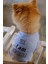 Bcbc Single Köpek T-Shirt Gri 2