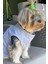 Bcbc Single Köpek T-Shirt Gri 3