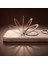 PC-4934 Iphone 16 Pro Halka Standlı Magsafe Titanyum Kapak 4