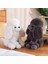 Kapya Peluş Oyuncaklar (Yurt Dışından) 1