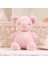 Peluş Oyuncaklar Sevimli Hayvanlar (Yurt Dışından) 1