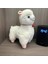 Yeni Peluş Oyuncaklar (Yurt Dışından) 1