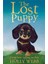 Holly Webb Animal Stories: The Lost Puppy 1