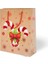 Christmas Gift Bag - Kraft 1