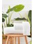 Organik Pine Kutulu Havlu 50X90 cm 4