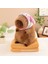 40CM Kirpi Balığı Klima Battaniyesi 2'si 1 Arada Peluş Oyuncak Bebek Yastık Hediye (Yurt Dışından) 1