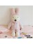 30CM Sevimli Sucre Tavşan Peluş Oyuncak Bebek Yastık Hediye (Yurt Dışından) 1