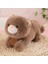 35CM Sevimli Kedi Peluş Oyuncak Bebek Bebek Yastık Hediye (Yurt Dışından) 1