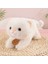 45CM Sevimli Kedi Peluş Oyuncak Bebek Bebek Yastık Hediye (Yurt Dışından) 1