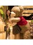 80CM Sevimli Oyuncak Ayı Peluş Bebek Bebek Yastık Hediye (Yurt Dışından) 1