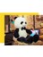 130CM Sevimli Dev Panda Peluş Oyuncak Bebek Yastık Hediye (Yurt Dışından) 4
