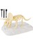 Oyuncak Model Kız Dinozor Hediye Triceratops (Yurt Dışından) 5