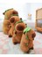 30CM Sevimli Fırfırlı Su Yunusu Peluş Oyuncak Bebek Bebek Yastık Hediye (Yurt Dışından) 2