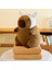 40CM Kirpi Balığı Klima Battaniyesi 2'si 1 Arada Peluş Oyuncak Bebek Yastık Hediye (Yurt Dışından) 1