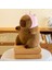40CM Kirpi Balığı Klima Battaniyesi 2'si 1 Arada Peluş Oyuncak Bebek Yastık Hediye (Yurt Dışından) 1