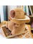 30CM Sevimli Kapia Peluş Oyuncak Bebek Yastık Hediye (Yurt Dışından) 1