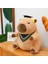 45CM Doktor Şapkası Kirpi Balığı Peluş Oyuncak Bebek Yastık Hediye (Yurt Dışından) 1