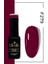 Kalıcı Oje Bordo- F279 (12 ML.) 1