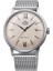 Bambino RA-AC0020G30B Quartz Hasır Gri Şampanya Kadran 41 mm Erkek Kol Saati 1