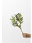 Yapay Zeytin Dalı 50 cm 3