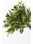 Yapay Zeytin Dalı 50 cm 5