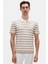 Ds Damat Regular Fit Bej Çizgili T-Shirt 1