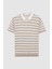 Ds Damat Regular Fit Bej Çizgili T-Shirt 5
