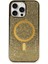 Newface iPhone 16 Pro Max Kılıf Diamond Magsafe Kapak - Gold 1