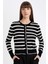 Regular Fit Çizgili Bisiklet Yaka Düğmeli Triko Hırka D3303AX25SP 3
