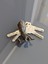 Elite JUST3DPRINTINGS Baby Groot Anahtarlık 1 Adet 1