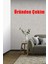 Elite Bien Exclusive 5191 Düz Renk Duvar Kağıdı (5 M²) 1 Adet 1