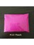 Alkol Bazlı Mürekkep Boya 15 cc - 13 Neon Koyu Pembe 1